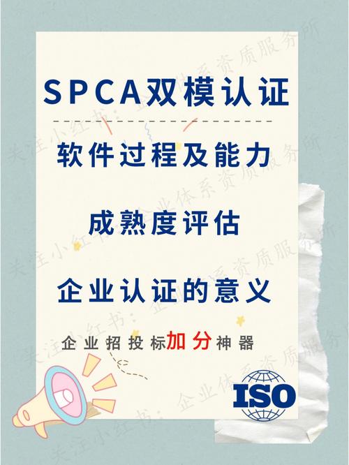 中小企业如何有效实施CMMI认证(认证过程中小企业成熟度评估) 99链接平台