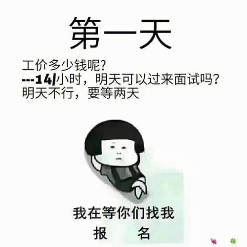 寻找暑假工可以通过多种渠道和策略进行(工作暑假中介机会可以通过) 软件开发