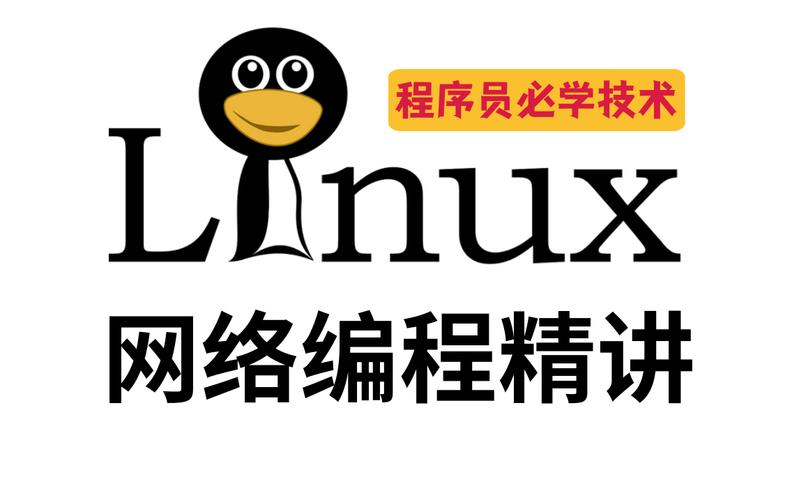 程序员必学！最受欢迎技能Linux的入门基础(最受欢迎基础网站学习入门) 软件开发