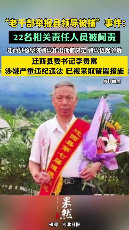 被公诉(刘某盗版小说广告多个) 软件优化