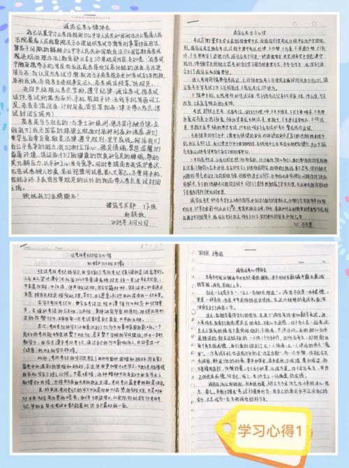 回家乡还是继续追梦？这篇文章给你答案(迁安给你这篇文章打拼追梦) 排名链接