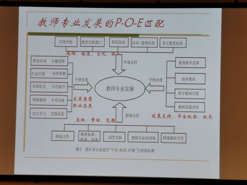 教师专业发展的关键在研究能力提升(研究教师成为一名学校道路) 软件开发