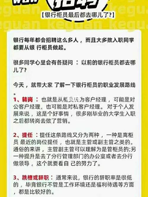 银行外包，透露经历，看到收入你羡慕吗(工作外包银行职场本科生) 99链接平台