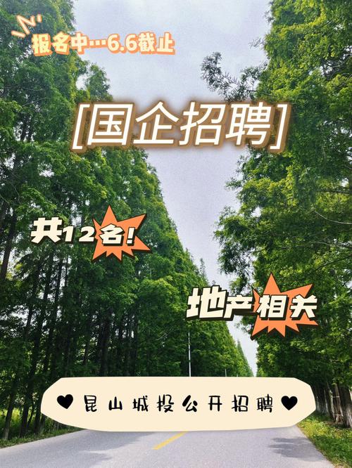 13人！昆山市城投集团招聘(岗位复试人员录用初试) 99链接平台