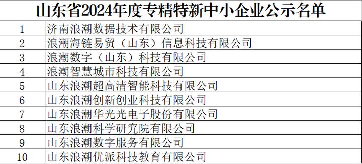 浪潮集团获评“山东省首版次高端软件优秀产品”奖项(浪潮版次软件闪电集团) 99链接平台