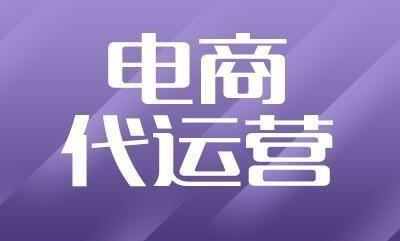 阜阳这家电商公司不得了！准备打造“淘宝级”电商产业(公司这家淘宝打造未来) 99链接平台