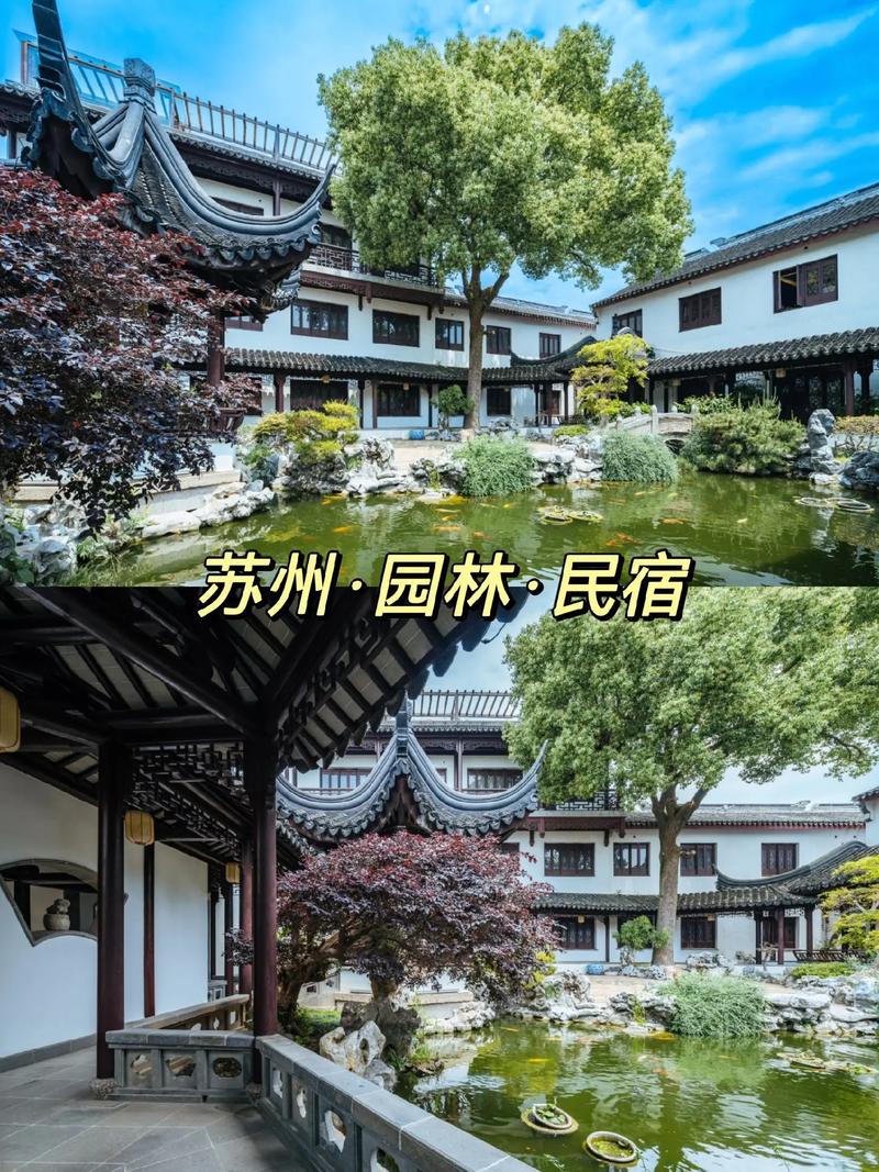 同里民宿标准化建设 让品牌效应影响更大(客栈民居同里古镇发展) 软件开发