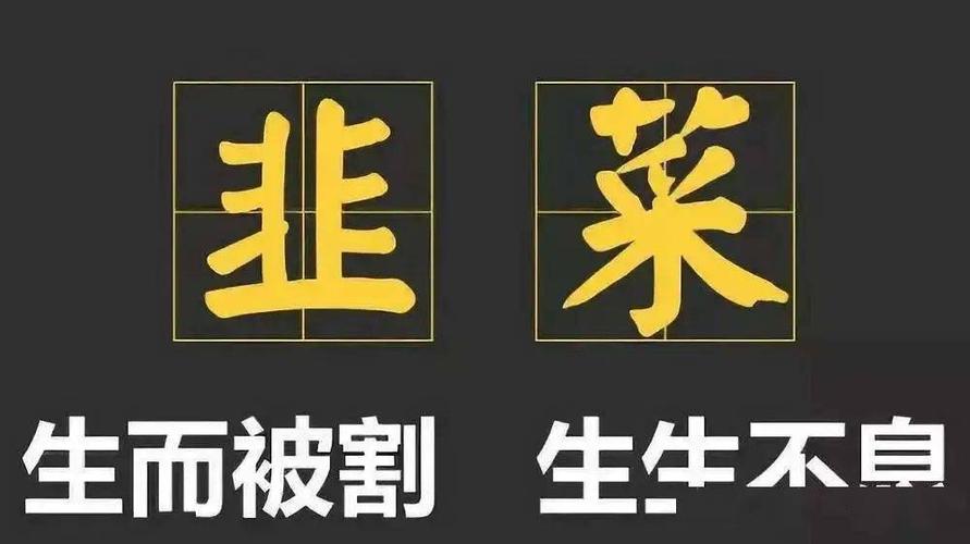 韭菜们交了几笔学费才醒悟(韭菜崩盘互助交了醒悟) 软件优化