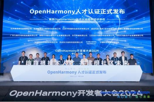 OpenHarmony项目群技术指导委员会2024年中务虚研讨会圆满落幕(技术俱乐部开源项目务虚) 软件开发