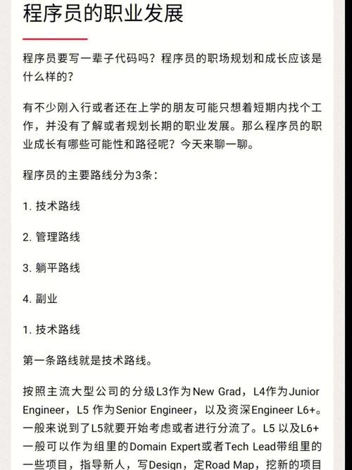 技术成长 | 浅谈程序员的职业操守(程序员操守代码软件职业) 软件优化