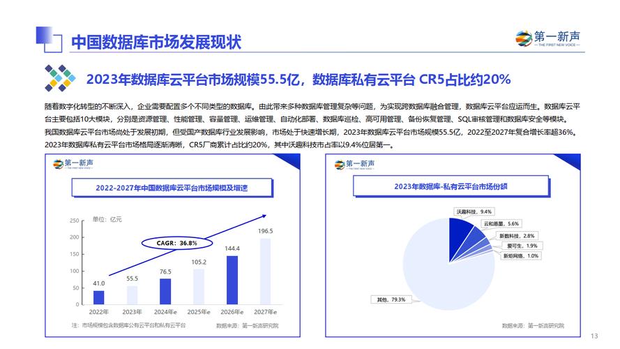 桌面数据库软件总体发展调研报告2024-2030(桌面数据库软件市场规模全球) 软件优化