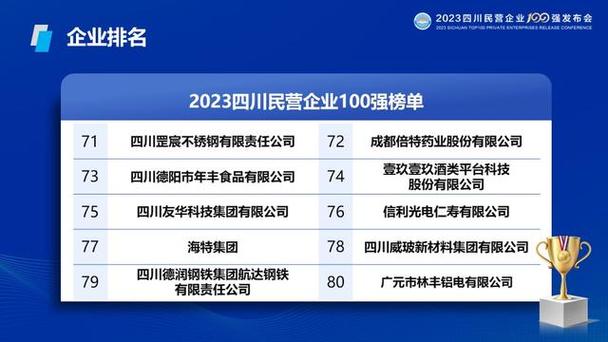 2023四川民营企业100强出炉！南充两家企业上榜(民营企业两家上榜出炉企业) 软件优化