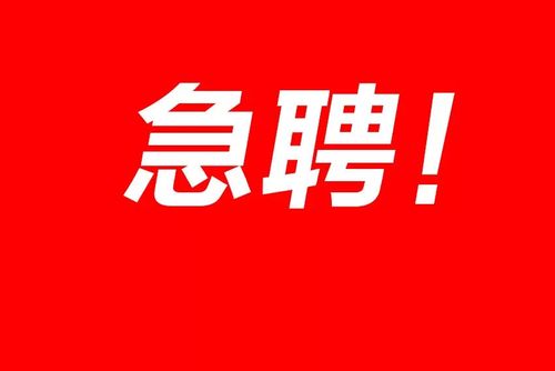 赶紧报名(笔试面试人员招聘岗位) 软件优化