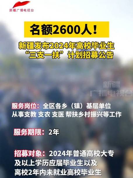 【天山 · 就业】157人！乌鲁木齐市发布高校毕业生“三支一扶”招募计划(招募笔试高校毕业生三支资格审查) 软件开发