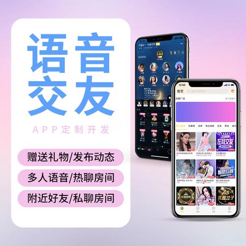 视频语音社交媒体app源码——语音软件开发(社交语音媒体视频源码) 软件开发