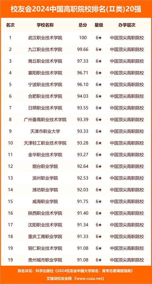 江西省软件职业技术大学与共青科技哪个好？(职业技术软件共青科技大学) 软件开发