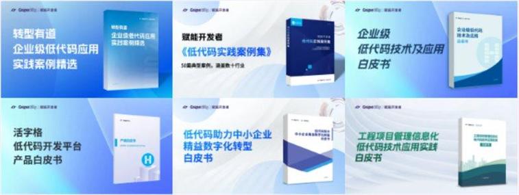 低代码赋能企业数字化转型：数百家软件公司的成功实践(代码转型软件公司技术数字化) 99链接平台