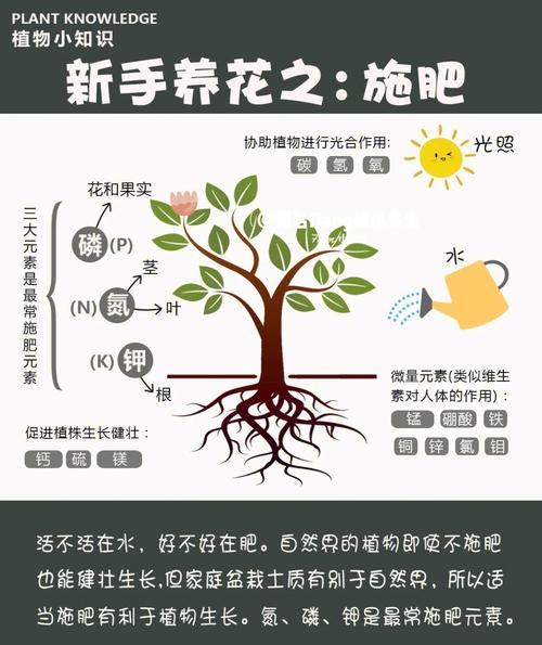 做帐号和种花(您的肥料自己的帐号关注) 软件优化