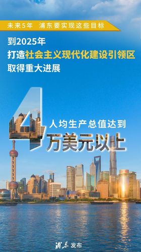 会成为中国未来20年的新浦东吗？(西岸产业城市要素优势) 软件优化