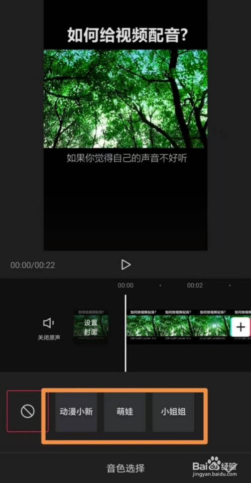 手撸一个通过代码来编辑视频、配音和字幕的工具(图像数据的是配音效果) 99链接平台