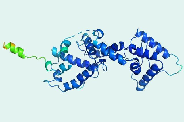 又研发出生物版“阿尔法狗”：破解50年生物学难题(蛋白质折叠结构阿尔法生物学) 99链接平台