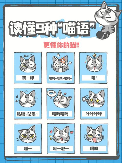 了解这些可以避免入坑(猫咪猫科专业术语都是宠物猫) 软件开发