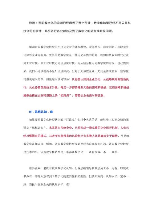 但问题是什么？| 数字思考者50人(研发数字化企业创新业务) 软件优化