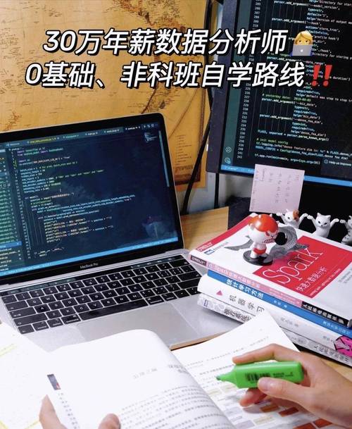 不会写代码！?自学成为年薪30w+数据分析师(数据分析师算法分析项目) 软件优化