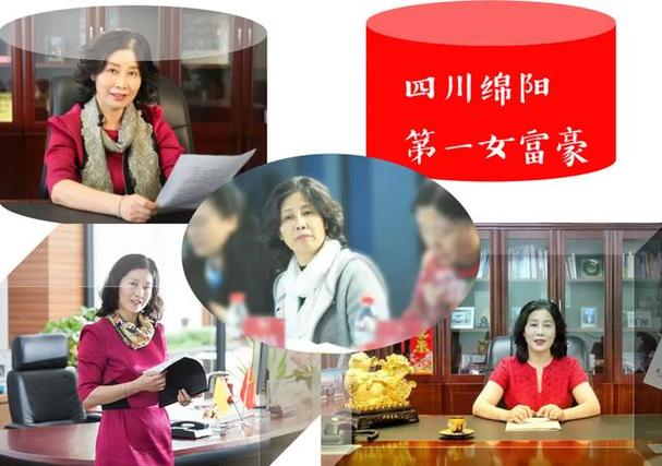 总身价403亿，万源神秘女老板浮出水面(身价亿元浮出步步高自己的) 软件优化