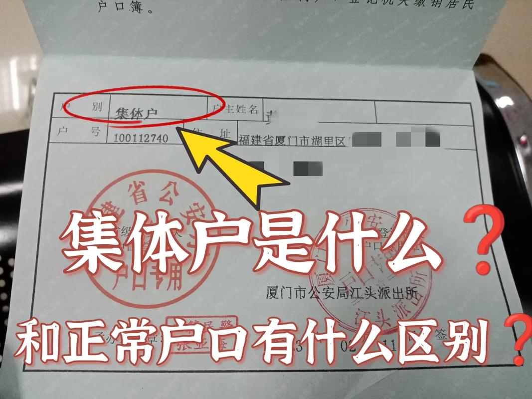 青岛集体户口到底是什么(户口集体学校集体户家庭) 软件开发