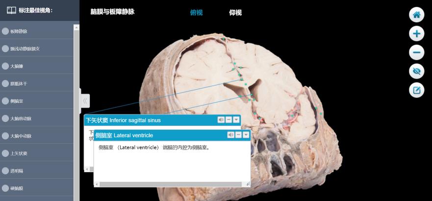 你能像“打游戏”一样模拟环境变化，还能在线“解剖”大脑(解剖实验虚拟还能环境) 排名链接