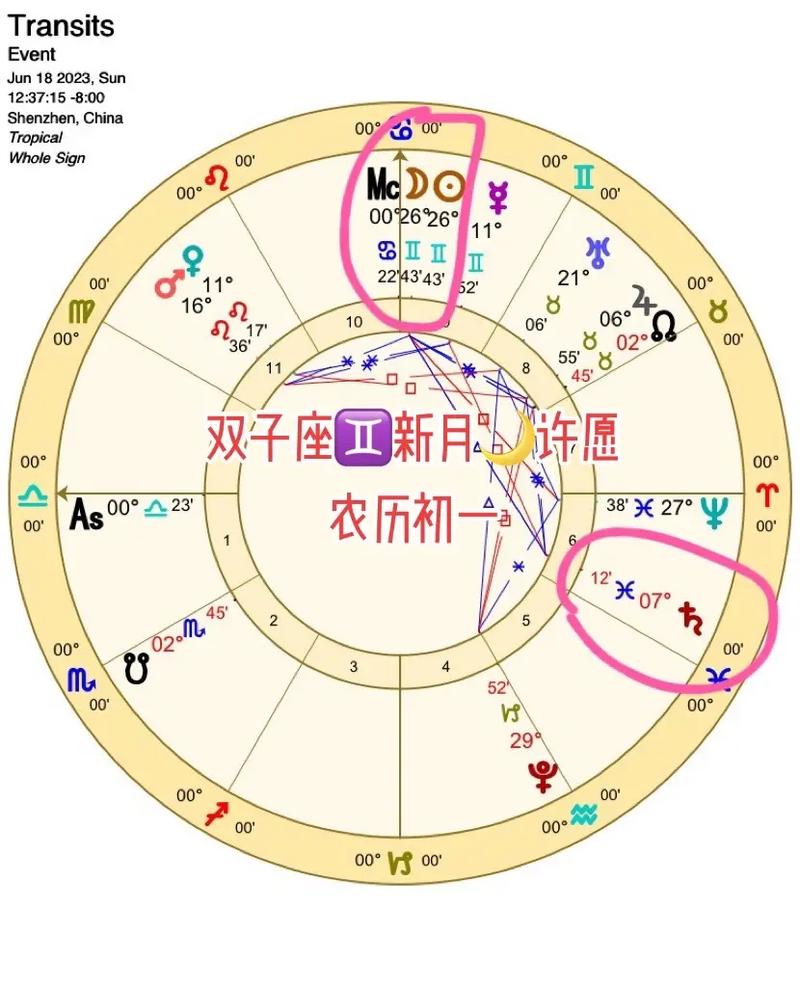 月入3万探秘星座奥秘，真相与玄学引热议(占星师星座占星玛丽玄学) 软件开发