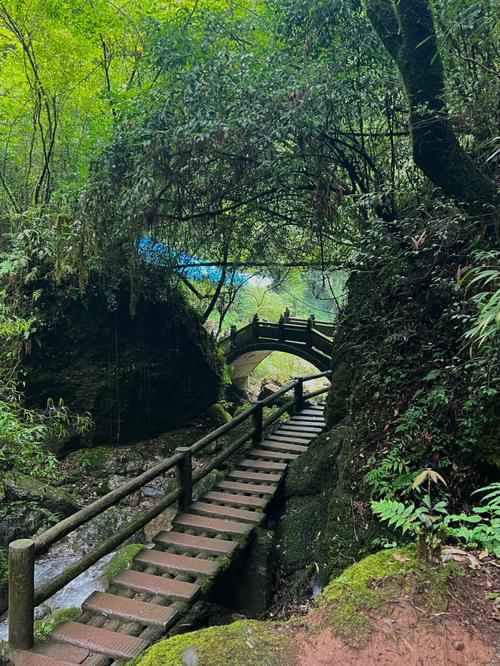 陪游成都最新攻略(上午下午晚餐夜游青城山) 排名链接