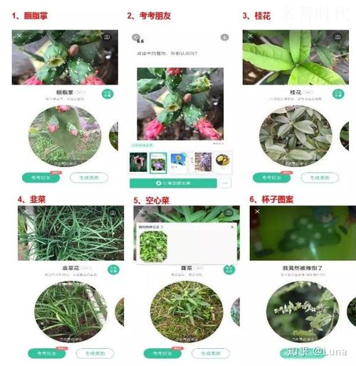 AI产品分析（四）：形色“拍照识花”功能解析(用户算法产品识别人工智能) 排名链接