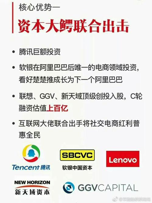 销售突破30亿元，宁波人创办社交电商黑马(社交库存亿元平台品牌) 99链接平台