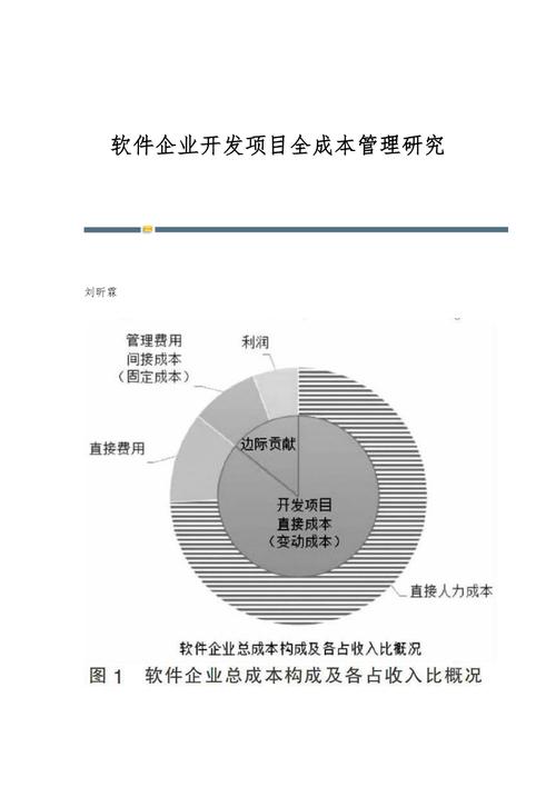 如何有效解决软件开发中的成本管理问题？(项目需求成本管理软件成本) 软件优化