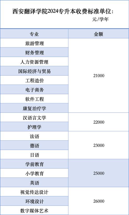 解锁无限可能—西安翻译学院软件工程专业介绍(软件工程专业软件小组工程师) 软件优化