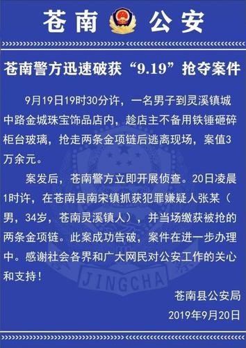 警方雷霆出击，揭秘背后黑幕！”(警方网络雷霆案件黑幕) 软件开发