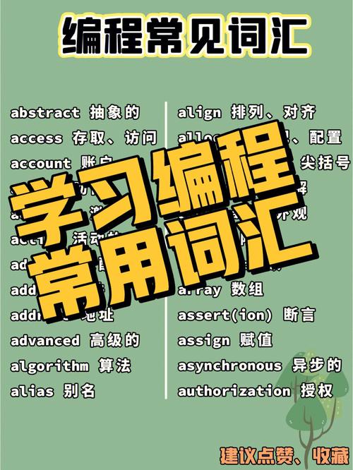 会影响学编程吗？(代码打字人生路不熟编程速度) 软件优化