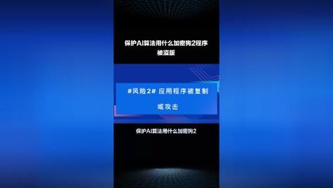 买来盗版软件装“加密狗”再卖出？男子获刑3年(闵行知识产权法院管辖刑事案件) 软件优化