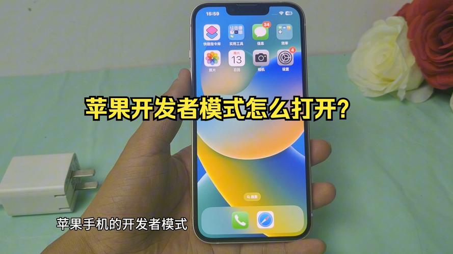 iPhone怎么开启开发者模式？(开发者模式开启更新打开) 软件优化