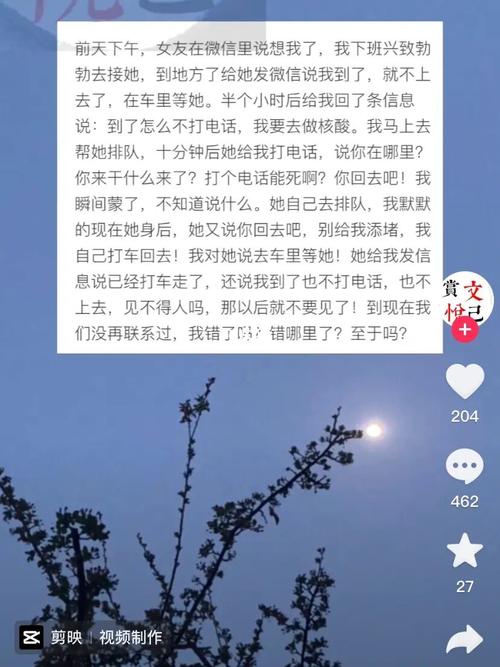 剪映生成的视频故事，您也试着做一个吧！(银子自己的牌子县官做一个) 软件优化