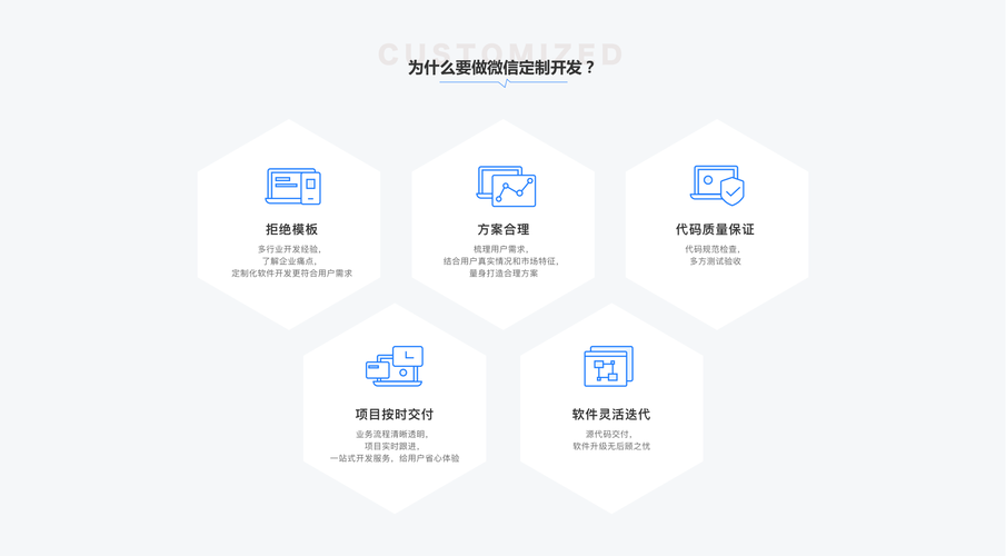 定制化软件开发公司怎么样(开发软件定制客户需求) 排名链接