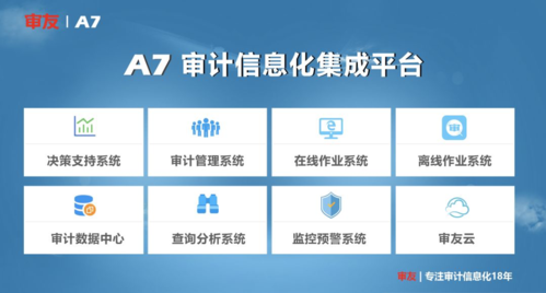 案例：公安信息化工程审计研究(审计信息化工程工作量项目) 软件优化