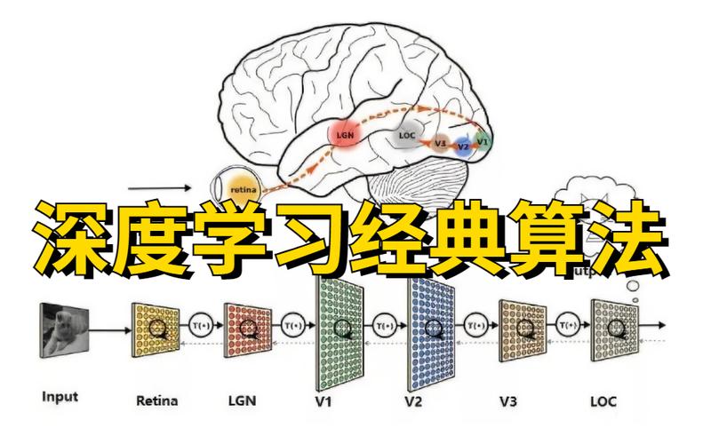 统计物理视角下的深度学习(物理学习神经网络网络深度) 排名链接