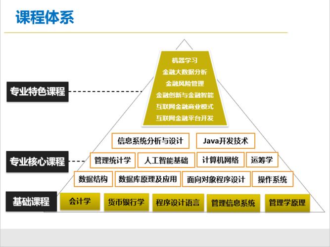 美国大学专业详解：Management Information System 信息系统管理(专业管理信息系统详解数据) 软件优化