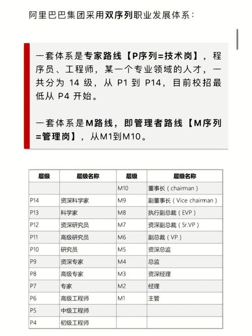 最全阿里架构师P系列解读：P5-P8的技能要求和薪资结构(能力阿里技能架构技术) 软件优化