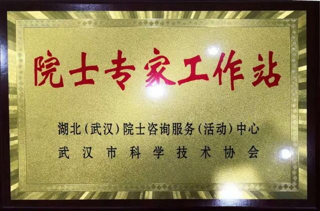 东阳16家企业院士专家工作站已复工14家(院士复工工作站专家浙江日报) 99链接平台