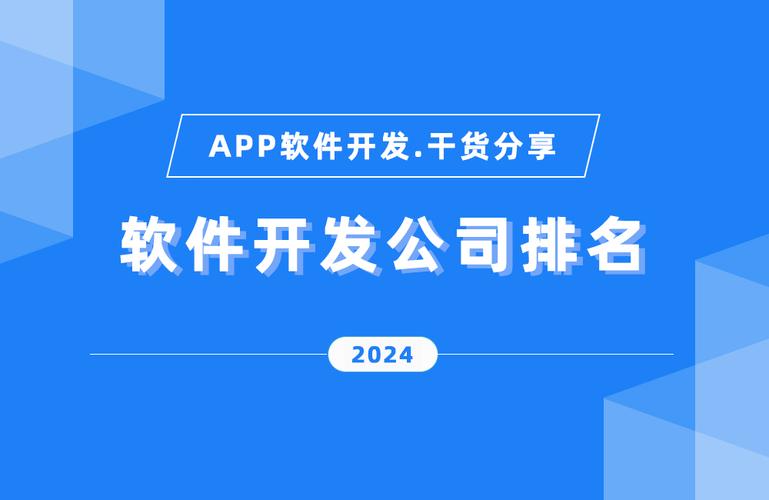 国内最好的软件开发公司是哪家(公司开发软件技术领域) 软件开发