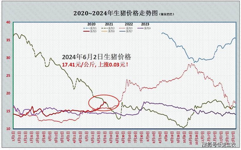 养一头亏300元！风口上的猪为啥不起飞了？(生猪风口出栏飞了养殖户) 软件优化